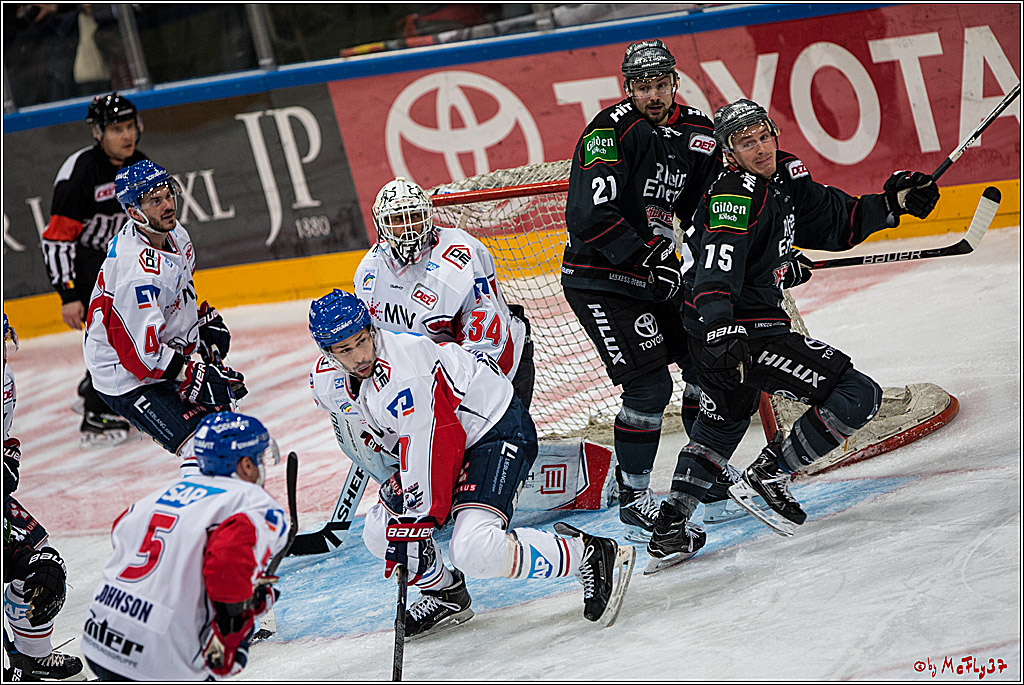 DEL, Koelner Haie - Adler Mannheim, 05.02.2017